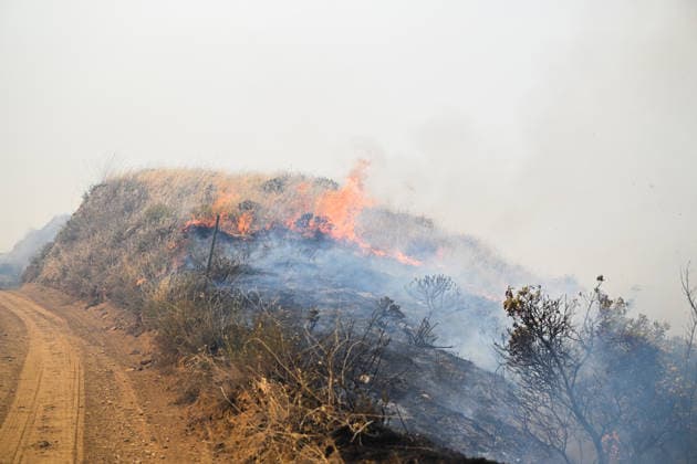California s Timber Fire of wildfire in Big Sur grows BIG SUR, CALIFORNIA - AUG 10: A view of flames and smoke as Timber Fire of wildfire continues in Big Sur of California, United States on August 10, 2026. Tayfun Coskun Anadolu California United States. Editorial use only. Please get in touch for any other usage.  Copyright: x2026xAnadoluxTayfunxCoskunx
