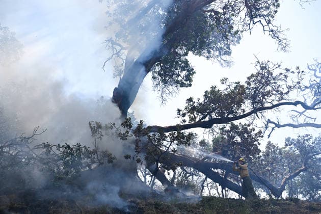 California s Timber Fire of wildfire in Big Sur grows BIG SUR, CALIFORNIA - AUG 10: A firefighter battles with flames as Timber Fire of wildfire continues in Big Sur of California, United States on August 10, 2026. Tayfun Coskun Anadolu California United States. Editorial use only. Please get in touch for any other usage.  Copyright: x2026xAnadoluxTayfunxCoskunx