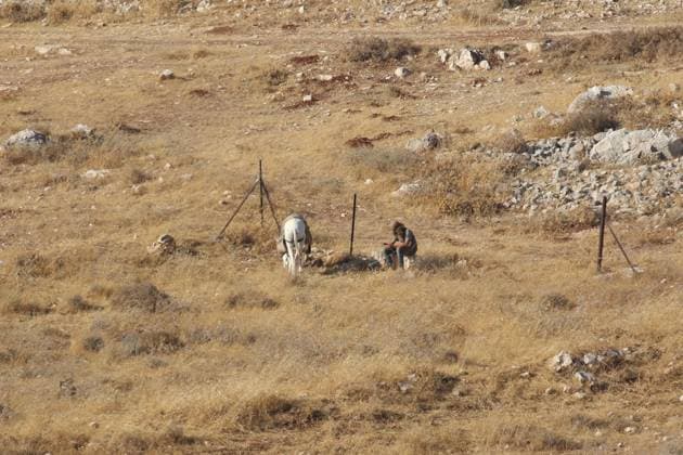 August 10, 2026, Ramallah, Palestine, State of: TAYBEH, PALESTINE Ã¢â‚¬ AUGUST 10, 2026: Israeli settlers attacked the Naif al-Kaabneh Bedouin community in the village of Taybeh. The community has been subjected to repeated attacks in recent months. About a month earlier, areas near the village cemetery and the ancient Church of St. George, also known as Al-Khader, were set on fire. The church, dating back to the fifth century AD, is one of the oldest Christian religious sites in Palestine. Taybeh is one of the few remaining Palestinian Christian villages in the occupied West Bank. The latest attack is part of a series of incidents affecting Palestinian communities in and around the village. Ramallah Palestine, State of  - ZUMAq101 20260810_zna_q101_067 Copyright: xSalmanxMohsenxAlkhatibx
