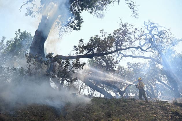 California s Timber Fire of wildfire in Big Sur BIG SUR, CALIFORNIA - AUG 10: A firefighter battles with flames as Timber Fire of wildfire continues in Big Sur of California, United States on August 10, 2026. Tayfun Coskun Anadolu California United States. Editorial use only. Please get in touch for any other usage.  Copyright: x2026xAnadoluxTayfunxCoskunx