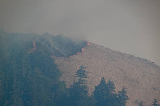 California s Timber Fire of wildfire in Big Sur BIG SUR, CALIFORNIA - AUG 10: A view of flames and smoke as Timber Fire of wildfire continues in Big Sur of California, United States on August 10, 2026. Tayfun Coskun Anadolu California United States. Editorial use only. Please get in touch for any other usage.  Copyright: x2026xAnadoluxTayfunxCoskunx