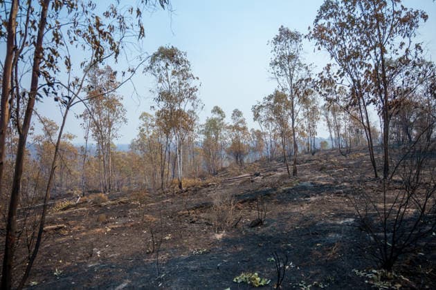 More than 500 personnel fighting the wildfire in Niebla, Huelva Area affected by the wildfire in Niebla, Huelva, which has been burning for five days As of August 11, 2026, in Niebla, Huelva, Andalusia, Spain More than 500 personnel from the Military Emergency Unit (UME) and the Civil Guard are now participating in efforts to extinguish the forest fire in Niebla, Huelva, following a further expansion of the human and material resources allocated to this operation. In addition, the UME has added four new bulldozers that will be deployed throughout Tuesday, primarily in the rear area. AUGUST 11, 2026 Francisco J. Niebla, Huelva, Andalusia, Spain Niebla, Huelva, Andalusia, Spain Spain  Copyright: xFranciscoxJ.xOlmox 7709762