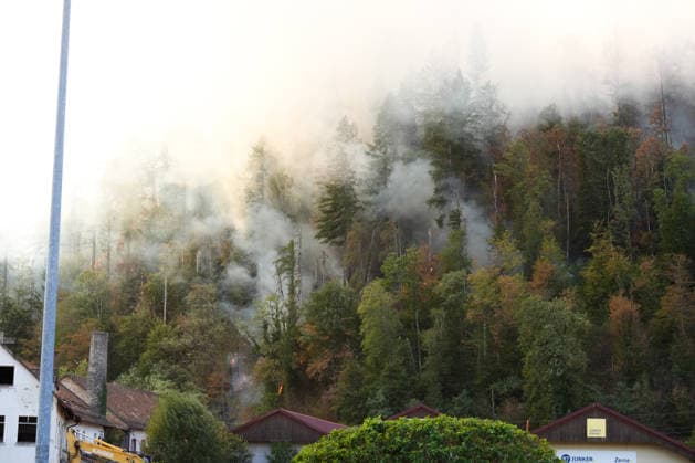 Waldbrand in Zell am Harmersbach, 11.08.2026 Waldbrand in Zell am Harmersbach, 11.08.2026 Zell am Harmersbach Baden-Württemberg Deutschland *** Forest Fire in Zell am Harmersbach, August 11, 2026 Forest Fire in Zell am Harmersbach, August 11, 2026 Zell am Harmersbach, Baden-Württemberg, Germany Copyright: xBEAUTIFULxSPORTS Boscox