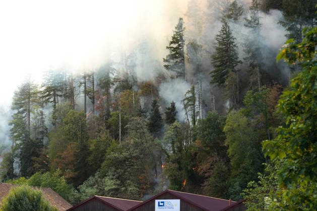 Waldbrand in Zell am Harmersbach, 11.08.2026 Waldbrand in Zell am Harmersbach, 11.08.2026 Zell am Harmersbach Baden-Württemberg Deutschland *** Forest Fire in Zell am Harmersbach, August 11, 2026 Forest Fire in Zell am Harmersbach, August 11, 2026 Zell am Harmersbach, Baden-Württemberg, Germany Copyright: xBEAUTIFULxSPORTS Boscox