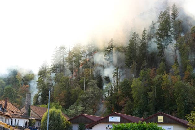 Waldbrand in Zell am Harmersbach, 11.08.2026 Waldbrand in Zell am Harmersbach, 11.08.2026 Zell am Harmersbach Baden-Württemberg Deutschland *** Forest Fire in Zell am Harmersbach, August 11, 2026 Forest Fire in Zell am Harmersbach, August 11, 2026 Zell am Harmersbach, Baden-Württemberg, Germany Copyright: xBEAUTIFULxSPORTS Boscox