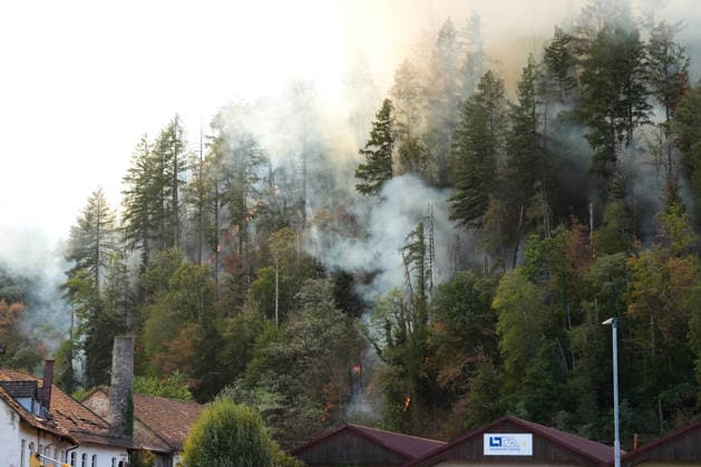 Waldbrand in Zell am Harmersbach, 11.08.2026 Waldbrand in Zell am Harmersbach, 11.08.2026 Zell am Harmersbach Baden-Württemberg Deutschland *** Forest Fire in Zell am Harmersbach, August 11, 2026 Forest Fire in Zell am Harmersbach, August 11, 2026 Zell am Harmersbach, Baden-Württemberg, Germany Copyright: xBEAUTIFULxSPORTS Boscox