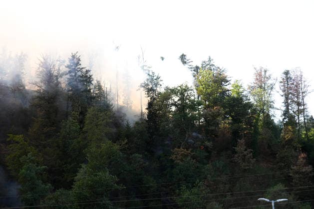 Waldbrand in Zell am Harmersbach, 11.08.2026 Waldbrand in Zell am Harmersbach, 11.08.2026 Zell am Harmersbach Baden-Württemberg Deutschland *** Forest Fire in Zell am Harmersbach, August 11, 2026 Forest Fire in Zell am Harmersbach, August 11, 2026 Zell am Harmersbach, Baden-Württemberg, Germany Copyright: xBEAUTIFULxSPORTS Boscox