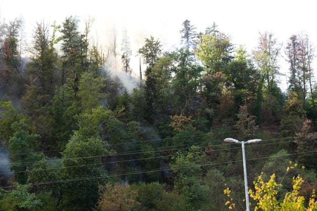 Waldbrand in Zell am Harmersbach, 11.08.2026 Waldbrand in Zell am Harmersbach, 11.08.2026 Zell am Harmersbach Baden-Württemberg Deutschland *** Forest Fire in Zell am Harmersbach, August 11, 2026 Forest Fire in Zell am Harmersbach, August 11, 2026 Zell am Harmersbach, Baden-Württemberg, Germany Copyright: xBEAUTIFULxSPORTS Boscox