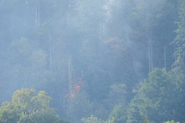 Waldbrand in Zell am Harmersbach, 11.08.2026 Waldbrand in Zell am Harmersbach, 11.08.2026 Zell am Harmersbach Baden-Württemberg Deutschland *** Forest Fire in Zell am Harmersbach, August 11, 2026 Forest Fire in Zell am Harmersbach, August 11, 2026 Zell am Harmersbach, Baden-Württemberg, Germany Copyright: xBEAUTIFULxSPORTS Boscox