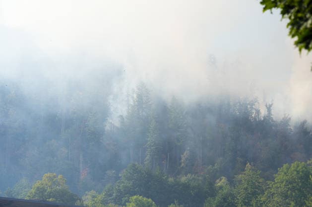 Waldbrand in Zell am Harmersbach, 11.08.2026 Waldbrand in Zell am Harmersbach, 11.08.2026 Zell am Harmersbach Baden-Württemberg Deutschland *** Forest Fire in Zell am Harmersbach, August 11, 2026 Forest Fire in Zell am Harmersbach, August 11, 2026 Zell am Harmersbach, Baden-Württemberg, Germany Copyright: xBEAUTIFULxSPORTS Boscox
