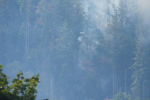 Waldbrand in Zell am Harmersbach, 11.08.2026 Waldbrand in Zell am Harmersbach, 11.08.2026 Zell am Harmersbach Baden-Württemberg Deutschland *** Forest Fire in Zell am Harmersbach, August 11, 2026 Forest Fire in Zell am Harmersbach, August 11, 2026 Zell am Harmersbach, Baden-Württemberg, Germany Copyright: xBEAUTIFULxSPORTS Boscox