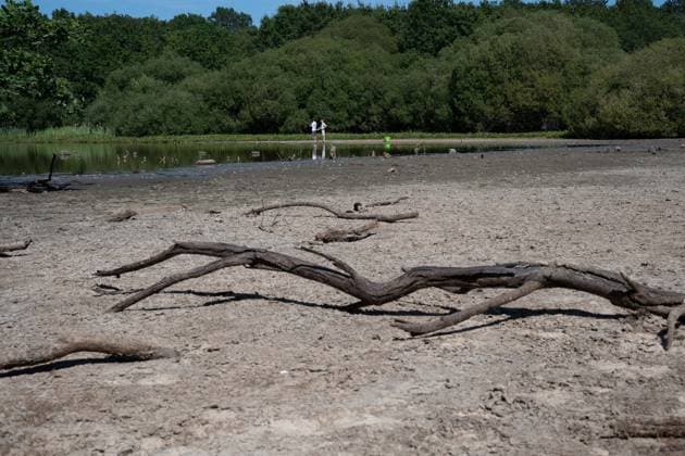 Prolonged heatwave and drought dry up historic Stew Pond at Epsom Common in Surrey EPSOM, UNITED KINGDOM - AUGUST 11: A veiw of the cracked, parched earth of Stew Pond exposed following an extended period of high temperatures and severe drought conditions at Epsom Common in Surrey, England, on August 11, 2026. The historic pond, a local nature reserve and habitat for diverse wildlife, has seen its water levels drop dramatically as persistent dry weather continues across southern Britain. Rasid Necati Aslim Anadolu Epsom United Kingdom. Editorial use only. Please get in touch for any other usage.  Copyright: x2026xAnadoluxRasidxNecatixAslimx