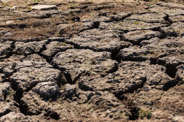 Niedrigwasser am Rhein: Yachthafen Oberwinter teilweise trockengefallen - 11.08.2026. Niedrigwasser am Rhein: Bei einem Pegelstand von -3 cm am Pegel Oberwinter und 70 cm am Pegel Bonn neue Tiefstwerte sind Teile des Yachthafens Oberwinter trockengefallen. Mehrere Boote liegen im Trockenen, eine Zufahrt in den Hafenbereich ist derzeit nicht mehr möglich. Am Rhein werden weiterhin neue Negativrekorde unterboten. Remagen Oberwinter Rheinland-Pfalz Deutschland *** Low Water on the Rhine: Oberwinter Marina Partially Exposed 08 11 2026 Low Water on the Rhine: With water levels at 3 cm at the Oberwinter gauge and 70 cm at the Bonn gauge—new record lows—parts of the Oberwinter marina have been exposed Several boats are stranded on dry lan Copyright: xMarcxJohnx