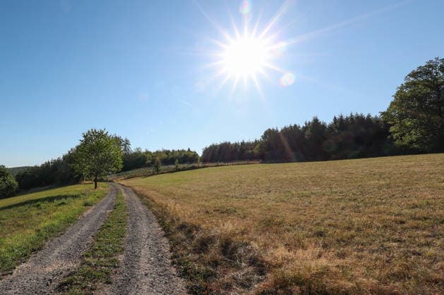Sommer im Siegerland. Ein wunderbarer Sommermorgen mit reichlich Sonne. Die naechsten (nächsten) Tage sollen die Temperaturen wieder ansteigen. Der Himmel ist blau und die Sonne strahlt vom Himmel auf die Landschaft. Sommer am 12.08.2026 in Siegen Deutschland. *** Summer in the Siegerland: A wonderful summer morning with plenty of sunshine. Temperatures are expected to rise again over the next few days. The sky is blue, and the sun is shining down on the landscape. Summer on August 12, 2026, in Siegen, Germany
