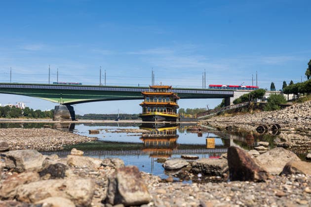 Nur noch kleine Wasserreste: Niedrigwasser legt Rheinbett in Bonn-Beuel frei Bonn, 12.08.2026: Am Beueler Rheinufer in Bonn sind infolge des extremen Niedrigwassers weite Bereiche des Rheinbetts freigelegt. Zwischen den trockengefallenen Flächen sind nur noch einzelne kleine Wasserreste des Rheins zu sehen. Im Hintergrund liegt das auf dem freigelegten Uferbereich sichtbare Chinaschiff. Der Rhein führt derzeit außergewöhnlich wenig Wasser. In Nordrhein-Westfalen werden inzwischen teils historische Tiefststände gemeldet; die niedrigen Pegel schränken auch die Binnenschifffahrt erheblich ein. Bonn Beuel Nordrhein-Westfalen Deutschland *** Only a few puddles remain: Low water levels expose the Rhine riverbed in Bonn-Beuel Bonn, Aug
