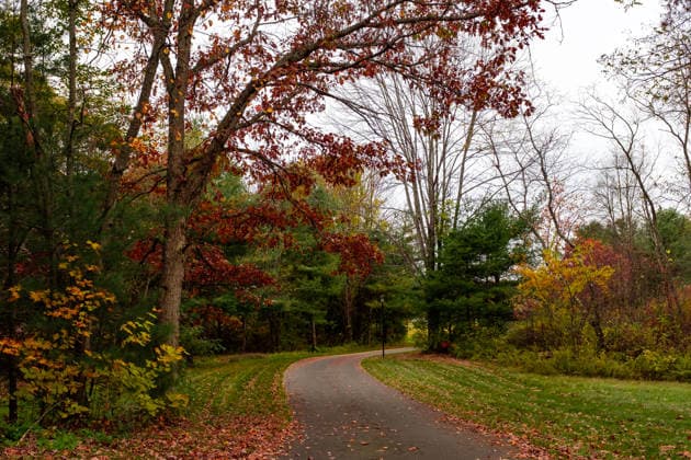 winding road curved through fall foliage Granby, MA, United States R_KEBE201020C-530066-01 ,model released, Symbolfoto ,property released