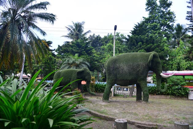 August 12, 2026, Siliguri, West Bengal, India: Trees are shaped like Elephants structure at Airview Traffic Point Park in Siliguri. World Elephant Day is observed globally today. These elephant-themed trees were created to protect both elephants and trees. Siliguri India  - ZUMAd209 20260812_znp_d209_009 Copyright: xDiptenduxDuttax