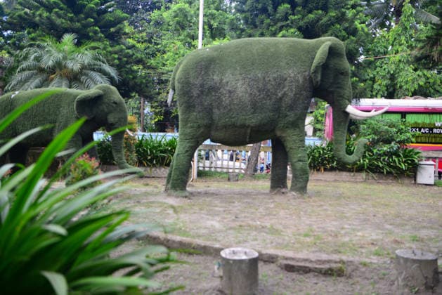 August 12, 2026, Siliguri, West Bengal, India: Trees are shaped like Elephants structure at Airview Traffic Point Park in Siliguri. World Elephant Day is observed globally today. These elephant-themed trees were created to protect both elephants and trees. Siliguri India - ZUMAd209 20260812_znp_d209_010 Copyright: xDiptenduxDuttax