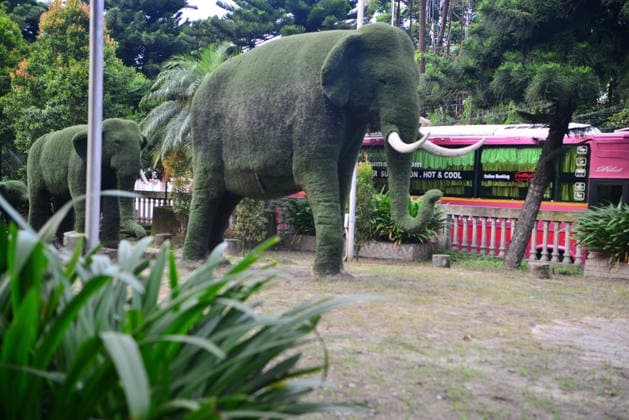 August 12, 2026, Siliguri, West Bengal, India: Trees are shaped like Elephants structure at Airview Traffic Point Park in Siliguri. World Elephant Day is observed globally today. These elephant-themed trees were created to protect both elephants and trees. Siliguri India - ZUMAd209 20260812_znp_d209_011 Copyright: xDiptenduxDuttax
