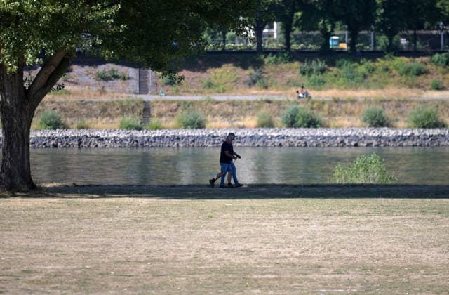 12.08.2026, xophax, öffentliches Leben, Köln, Rheinufer, Stadt Köln . Niedrigwasser. Rhein von Köln - Poll aus gesehen.Spaziergänger. Köln *** August 12, 2026, xophax, public life, Cologne, banks of the Rhine, City of Cologne, low water level on the Rhine as seen from Cologne Poll, people strolling in Cologne