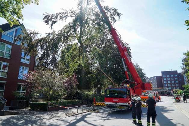 CNTV BAUMKRONE - Feuerwehr mit grossen Geraet im Einsatz Angebrochene Baumkrone droht auf die Strasse zu stürzen 12.AUGUST 2026 Hamburg Wandsbek-Marienthal Mittwoch kam es zu einem stundenlangen Einsatz für die Hamburger Feuerwehr. Eine tonnenschwere Baumkrone war angebrochen und drohte auf die Strasse Baerenalle zu stuerzen In den Nachmittagsstunden konnte die Baumkrone dann abgesägt, angehoben und mit Hilfe des Feuerwehrkrans auf die Strasse gelegt werden um dort in kleine Teile zersägt zu werden Hamburg Deutschland *** CNTV TREE CROWN Fire Department Deploys Heavy Equipment: Broken Tree Crown Threatens to Fall onto the Street August 12, 2026 Hamburg Wandsbek Marienthal On Wednesday, the Hamburg Fire Department carried out an operat