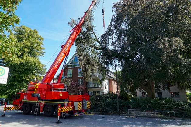 CNTV BAUMKRONE - Feuerwehr mit grossen Geraet im Einsatz Angebrochene Baumkrone droht auf die Strasse zu stürzen 12.AUGUST 2026 Hamburg Wandsbek-Marienthal Mittwoch kam es zu einem stundenlangen Einsatz für die Hamburger Feuerwehr. Eine tonnenschwere Baumkrone war angebrochen und drohte auf die Strasse Baerenalle zu stuerzen In den Nachmittagsstunden konnte die Baumkrone dann abgesägt, angehoben und mit Hilfe des Feuerwehrkrans auf die Strasse gelegt werden um dort in kleine Teile zersägt zu werden Hamburg Deutschland *** CNTV TREE CROWN Fire Department Deploys Heavy Equipment: Broken Tree Crown Threatens to Fall onto the Street August 12, 2026 Hamburg Wandsbek Marienthal On Wednesday, the Hamburg Fire Department carried out an operat