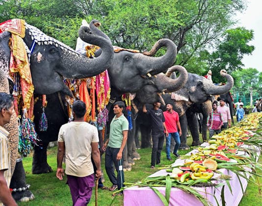 Elephant Fashion Show on World Elephant Day 2026 in Jaipur Jaipur, Aug 12 (ANI): Decorative elephants during the Elephant Fashion Show , organised by the Elephant Village Development Committee on the World Elephant Day 2026, in Jaipur on Wednesday. (ANI photo) Jaipur Rajasthan India Copyright: xANIx ANI_20260812349