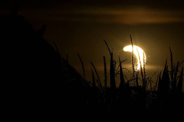 12.08.2026, Zeitgeschehen, Sonnenfinsternis im Agusut 2026 Rühen *** August 12, 2026, Current Events, Solar Eclipse in August 2026 in Rühen