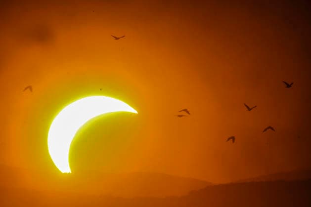 Partial Solar Eclipse in Hungary This image shows a partial solar eclipse captured in Hungary, Sopron. The moon will cover about 86% of the sun during this solar eclipse. Zsombor Toth Sopron Gyor-Moson-Sopron Hungary Copyright: xZsomborxTothx
