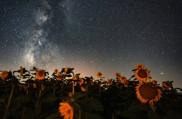 Meteor shower observed in Turkiye s Konya KONYA, TURKIYE - AUGUST 12: Meteor shower is seen using the long-exposure technique at Kusca Fairy Chimneys in Cihanbeyli district of Konya, Turkiye on August 12, 2026. Ercin Erturk Anadolu Konya Turkey. Editorial use only. Please get in touch for any other usage.  Copyright: x2026xAnadoluxErcinxErturkx