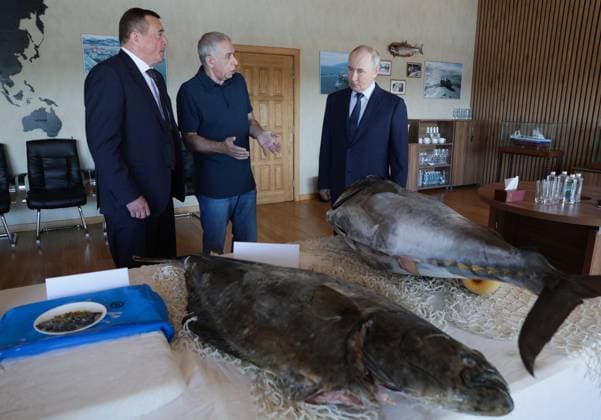 Russia Putin Far Eastern Federal District 9221315 13.08.2026 Russian President Vladimir Putin, accompanied by Sakhalin Region Governor Valery Limarenko and founder of the Gidrostroy group of companies Alexander Verkhovsky, visits the Yasny fish processing complex on Iturup Island, Sakhalin region, Russia. Gavriil Grigorov Sputnik Sakhalin Region Russia  Copyright: xGavriilxGrigorovx