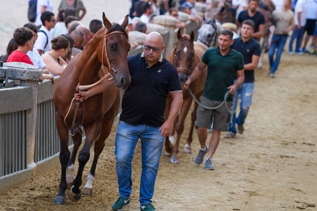 August 13, 2026, Siena, Toscana, ITALIA: Siena, Piazza del Campo Ã¢â‚¬ August 13, 2026. The *Tratta* took place this morning; it is one of the key moments of the Palio, during which the selected horses are assigned by lot to the ten *Contrade* participating in the race on August 16. Siena ITALIA - ZUMAs236 20260813_aap_s236_033 Copyright: xFabioxSassox