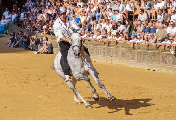 August 13, 2026, Siena, Toscana, ITALIA: Siena, Piazza del Campo Ã¢â‚¬ August 13, 2026. The *Tratta* took place this morning; it is one of the key moments of the Palio, during which the selected horses are assigned by lot to the ten *Contrade* participating in the race on August 16. Siena ITALIA  - ZUMAs236 20260813_aap_s236_023 Copyright: xFabioxSassox