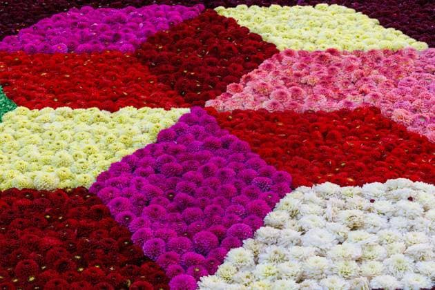 FLOWER CARPET BRUSSELSBELGIQUE 2026 Bruxelles- AUGUST 13 : Installation Flower Carpet in Brussels -Grand Place on August 13, 2026 in Belgium, 13 08 2026 Brussels Brussels  Copyright: xBouchezbenx
