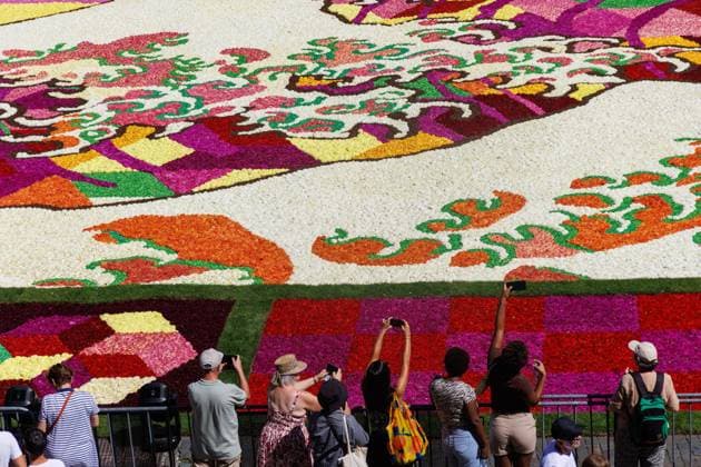FLOWER CARPET BRUSSELSBELGIQUE 2026 Bruxelles- AUGUST 13 : Installation Flower Carpet in Brussels -Grand Place on August 13, 2026 in Belgium, 13 08 2026 Brussels Brussels  Copyright: xBouchezbenx