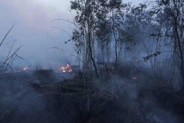 Peatland Fire In South Sumatra Members of the Manggala Agni team work to extinguish a fire at a peatland site in Palm Raya Village, Inderalaya District, South Sumatra, on August 13, 2026. Inderalaya Indonesia  Copyright: xSigitxPrasetyax originalFilename: prasetya-notitle260813_np92h.jpg