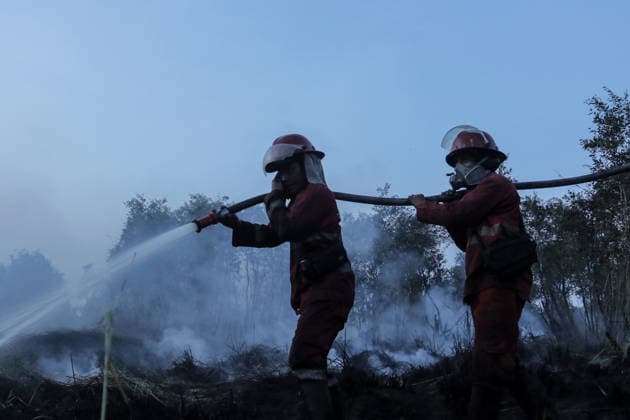 Peatland Fire In South Sumatra Members of the Manggala Agni team work to extinguish a fire at a peatland site in Palm Raya Village, Inderalaya District, South Sumatra, on August 13, 2026. Inderalaya Indonesia  Copyright: xSigitxPrasetyax originalFilename: prasetya-notitle260813_nptxy.jpg
