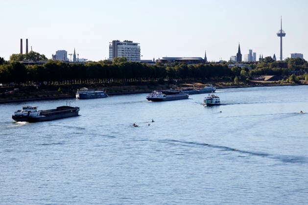 Bei ausbleibenden Regen ist der historisch niedrige Wasserstand des Rheins in NRW noch weiter gefallen. In Köln ist am Donnerstag (13. August) ein Wert on 49 Zentimetern gemessen worden. Der Rheinpegel ist in Köln damit auf einem Rekordtief. Viele Rheinwiesen sind verdorrt und versteppt und der sonst so stolze Fluss hat sich tief in sein Bett zurückgezogen, gibt den Blick auf trockene Ufer frei. (Themenbild, Symbolbild) Köln, 13.08.2026 NRW Deutschland *** With no rain in sight, the historically low water level of the Rhine in North Rhine-Westphalia has fallen even further. In Cologne, a level of 49 centimeters was measured on Thursday, August 13. The Rhine’s water level in Cologne has thus reached a record low. Many of the Rhine’s floo Copyright: xChristophxHardtx