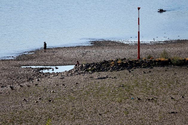 Bei ausbleibenden Regen ist der historisch niedrige Wasserstand des Rheins in NRW noch weiter gefallen. In Köln ist am Donnerstag (13. August) ein Wert on 49 Zentimetern gemessen worden. Der Rheinpegel ist in Köln damit auf einem Rekordtief. Viele Rheinwiesen sind verdorrt und versteppt und der sonst so stolze Fluss hat sich tief in sein Bett zurückgezogen, gibt den Blick auf trockene Ufer frei. (Themenbild, Symbolbild) Köln, 13.08.2026 NRW Deutschland *** With no rain in sight, the historically low water level of the Rhine in North Rhine-Westphalia has fallen even further. In Cologne, a level of 49 centimeters was measured on Thursday, August 13. The Rhine’s water level in Cologne has thus reached a record low. Many of the Rhine’s floo Copyright: xChristophxHardtx