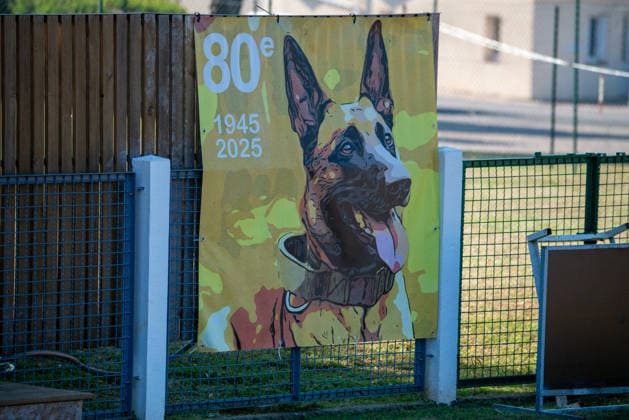 French Center Training Gendarmerie Dog Teams - Gramat The Centre National d’Instruction Cynophile de la Gendarmerie (CNICG) in Gramat, Lot, France on Undated, the sole French center training gendarmerie canine teams since 1945, operates across 14 hectares with nine kennels accommodating up to 150 dogs simultaneously, training 350 students annually in intensive courses to form handler-dog pairs, with dogs—primarily Belgian Malinois—specializing in person search, narcotics detection, explosives, weapons, and electronic media detection. August 13, 2026. Photo by Denis Prezat ABACAPRESS.COM Gramat France  Copyright: xPrezatxDenis ABACAx