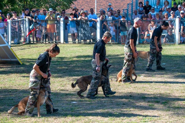 French Center Training Gendarmerie Dog Teams - Gramat The Centre National d’Instruction Cynophile de la Gendarmerie (CNICG) in Gramat, Lot, France on Undated, the sole French center training gendarmerie canine teams since 1945, operates across 14 hectares with nine kennels accommodating up to 150 dogs simultaneously, training 350 students annually in intensive courses to form handler-dog pairs, with dogs—primarily Belgian Malinois—specializing in person search, narcotics detection, explosives, weapons, and electronic media detection. August 13, 2026. Photo by Denis Prezat ABACAPRESS.COM Gramat France  Copyright: xPrezatxDenis ABACAx