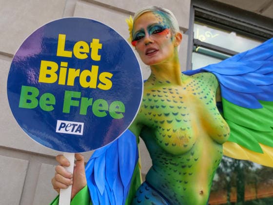 August 13, 2026, New York, New York, USA: A PETA supporter holds a sign that says Let Birds Be Free while demonstrating outside the Union Square Petco store. PETA claims Petco is using a mass breeding factory in Petco s supply chain. Animal rights activists are calling on Petco to end the sale of live birds and all live animals. New York USA  - ZUMAh156 20260813_znp_h156_001 Copyright: xMiloxHessx