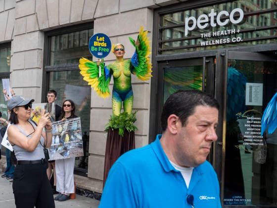 August 13, 2026, New York, New York, USA: NYC PETA demonstration in Union Square with painted live parakeet models on stilts bringing attention to a PETA investigation exposing a mass breeding factory in Petco s supply chain. They are claiming birds are crammed tightly into waste filled cages without veterinary care for sick or injured animals and left to die. The animal rights group charges an Oklahoma breeder Creekside birds with animal cruelty and ask please dont buy birds or any other live animals from Petco or any other pet store. Adopt instead. New York USA  - ZUMAh156 20260813_znp_h156_013 Copyright: xMiloxHessx