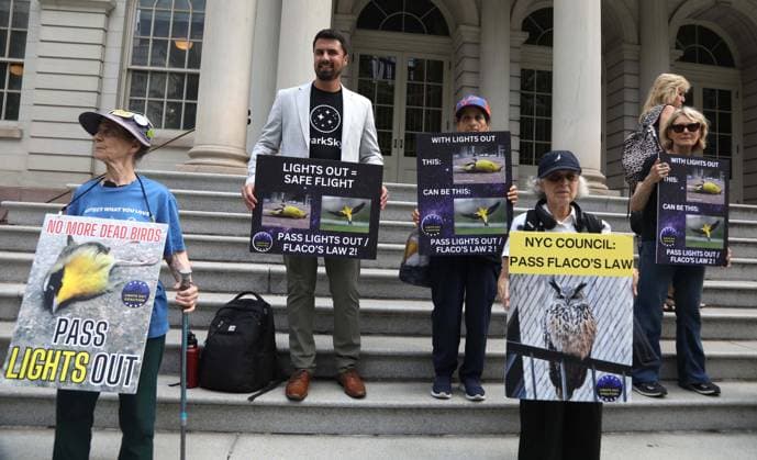 August 13, 2026, New York, New York, USA: Supporters and members of the NYC Bird Alliance gather outside City Hall to demand the passage of Lights Out legislation. The bill, dubbed Flaco s Law, aims to curb commercial night lighting to protect over 250,000 migratory birds from fatal building collisions in New York City annually. New York USA  - ZUMAk03_ 20260813_zaf_k03_006 Copyright: xNancyxKaszermanx