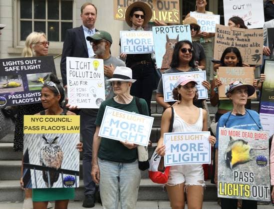 August 13, 2026, New York, New York, USA: Supporters and members of the NYC Bird Alliance gather outside City Hall to demand the passage of Lights Out legislation. The bill, dubbed Flaco s Law, aims to curb commercial night lighting to protect over 250,000 migratory birds from fatal building collisions in New York City annually. New York USA - ZUMAk03_ 20260813_zaf_k03_014 Copyright: xNancyxKaszermanx