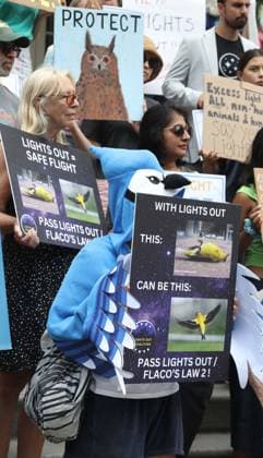 August 13, 2026, New York, New York, USA: Supporters and members of the NYC Bird Alliance gather outside City Hall to demand the passage of Lights Out legislation. The bill, dubbed Flaco s Law, aims to curb commercial night lighting to protect over 250,000 migratory birds from fatal building collisions in New York City annually. New York USA - ZUMAk03_ 20260813_zaf_k03_030 Copyright: xNancyxKaszermanx
