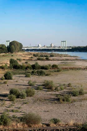 Poller Wiesen und Rodenkirchener Brücke - Durch die historisch niedrigen Pegelstände im Rhein ist die Logistik extremst gestört. Hierdurch entstehen Herausforderungen und Folgen für den Alltag. Es droht das Abschneiden der Transportwege im Rhein. Die Kosten für den Verbraucher steigen im Bereich der Lebensmitteln, bei den Kraftstoffen und anderen Bereichen durch gestiegene Transportkosten. Unternehmen sind gezwungen, die Produktionen zu drosseln. Köln, 13.08.2026 *** Poller Wiesen and Rodenkirchen Bridge: Due to historically low water levels in the Rhine, logistics have been severely disrupted. This is creating challenges and consequences for everyday life. There is a risk that transport routes along the Rhine will be cut off. Costs f Foto:xR.xSchmiegeltx xFuturexImagex neidrigwasser_6811