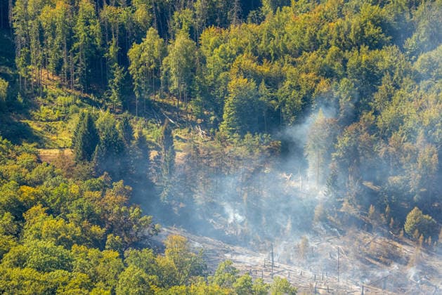 Luftbild Arnsberg, gelöschter Waldbrand im Arnsberger Wald bei Delecke, Möhnesee, Feuerwehr, Brandwache, Sauerland, Nordrhein-Westfalen, Deutschland !ACHTUNGxMINDESTHONORARx60xEURO! *** Aerial view of Arnsberg, extinguished forest fire in the Arnsberg Forest near Delecke, Möhnesee, fire department, fire watch, Sauerland, North Rhine-Westphalia, Germany ATTENTION: MINIMUM FEE: 60 EUR
