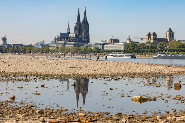 Sommer im Rheinland. Blick auf den Rhein bei Koeln (Köln) - Deutz. Der Rhein in Koeln (Köln) fuehrt (führt) Niedrigwasser aufgrund anhaltender Trockenheit. Im Hintergrund der Koelner (Kölner) Dom. Im Vordergrund spiegelt sich der Dom im Wasser. Sommer im Rheinland am 14.08.2026 in Koeln (Köln) Deutschland. *** Summer in the Rhineland: View of the Rhine near Cologne, Deutz. The Rhine in Cologne is at low water levels due to persistent drought. Cologne Cathedral is visible in the background; in the foreground, the cathedral is reflected in the water. Summer in the Rhineland on August 14, 2026, in Cologne, Germany