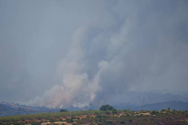 Aznalcóllar Watches with Fear as the Niebla Fire Spreads Images of the Niebla fire spreading in the municipality of Aznalcóllar August 14, 2026, in Aznalcóllar, Seville, Andalusia, Spain The Niebla fire in Huelva, which has been burning since August 6 and has affected more than 31,000 hectares, has entered the municipality of Aznalcóllar, Seville, via the Charcofrío area. This Friday, the situation worsened in the area; the fire crossed the road toward El Álamo and reached El Campillo and Madronalejo. August 14, 2026. Francisco J. Aznalcollar, Seville, Andalusia; Aznalcóllar, Seville, Andalusia, Spain  Copyright: xFranciscoxJ.xOlmox 7714160